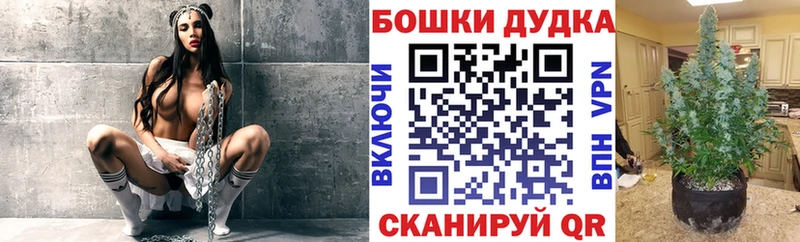 Где купить Нововоронеж Гашиш  Конопля  Cocaine  Меф 