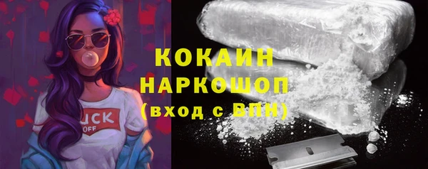 сатива Сосновка