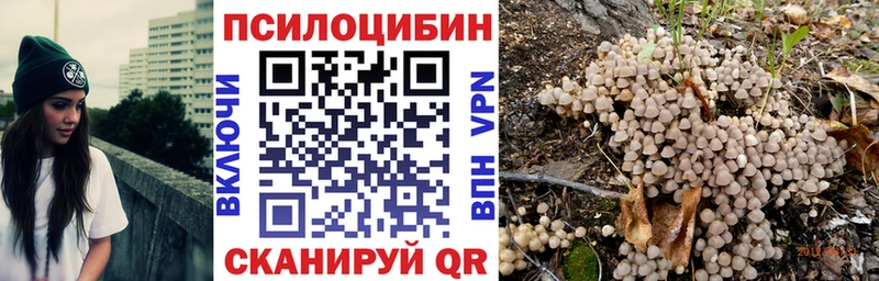 Псилоцибиновые грибы Magic Shrooms  где найти   shop официальный сайт  Нововоронеж 